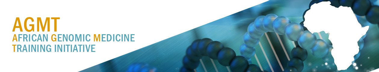 African Genomic Medicine Training Initiative (AGMT)